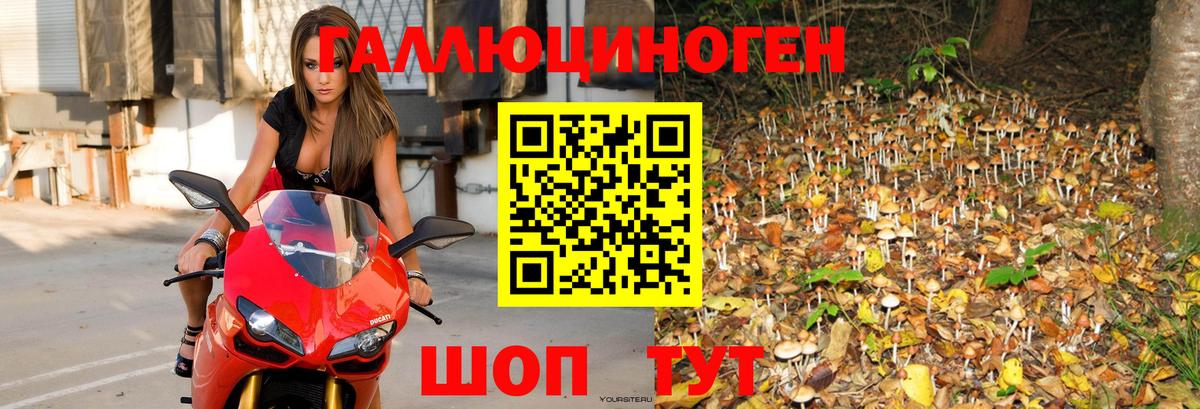 Отрадное  Галлюциногенные грибы прущие грибы  Вход с VPN 